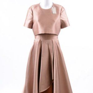 Jason Wu fawn brown gown illusion high low 6 S